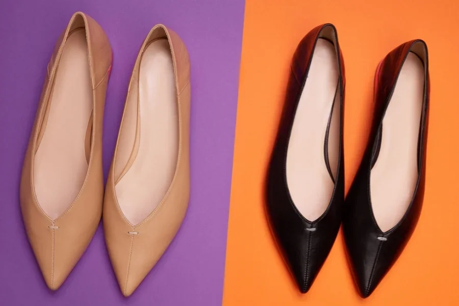 Zwei Paar stylische Damen-Ballerinas mit spitzer Spitze in verschiedenen Farben