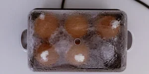 A rapid egg cooker steaming six brown eggs under a foggy transparent lid