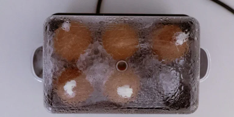 Яйцеварка быстрого приготовления готовит шесть коричневых яиц под прозрачной крышкой.