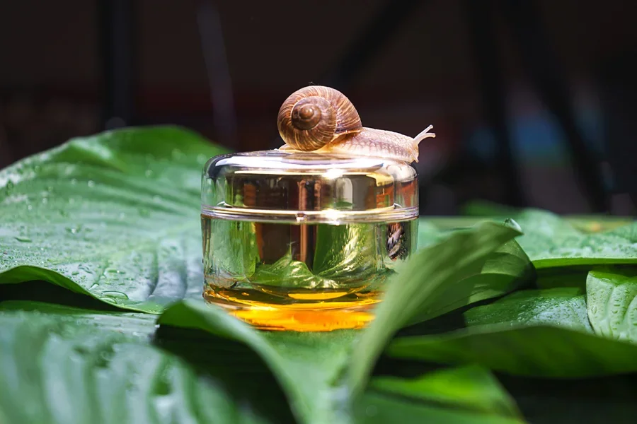 A snail on a jar