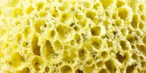 washing sponge, sponges, cleaning, washing