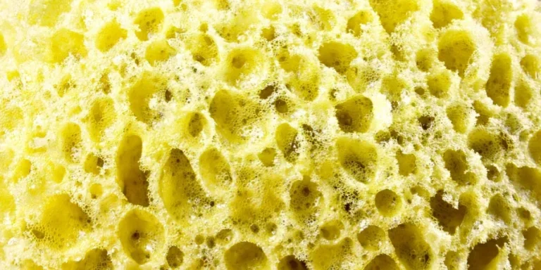 Waschschwamm, Schwämme, Reinigen, Waschen