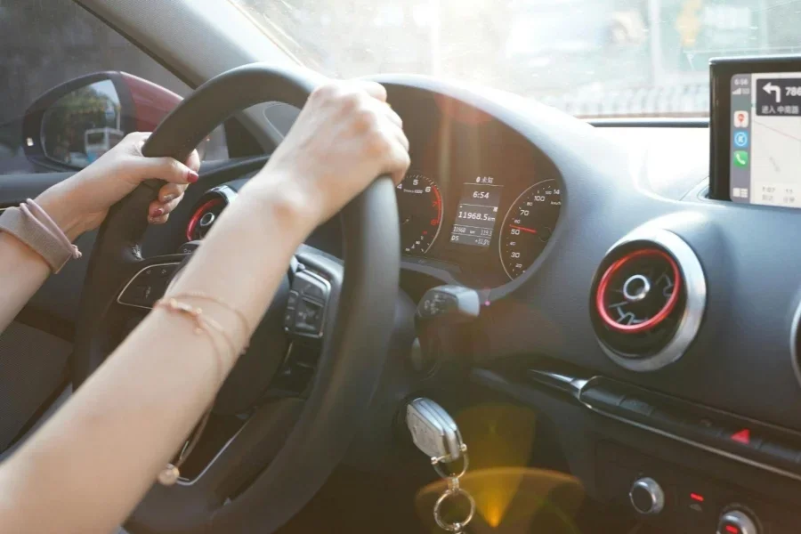 A Person Driving a Car