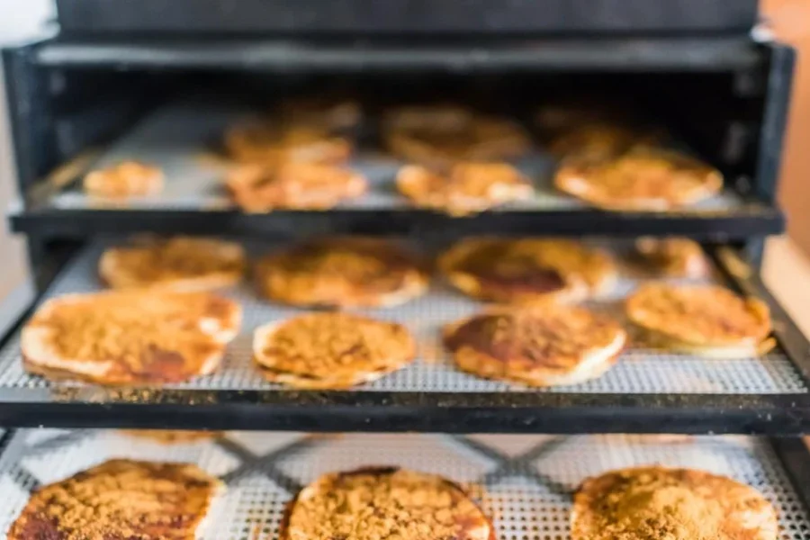 Apple and cinnamon dehydrated sheets