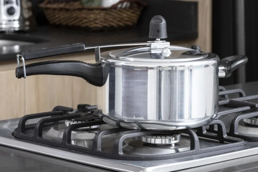 Kitchen appliances - pressure cooker