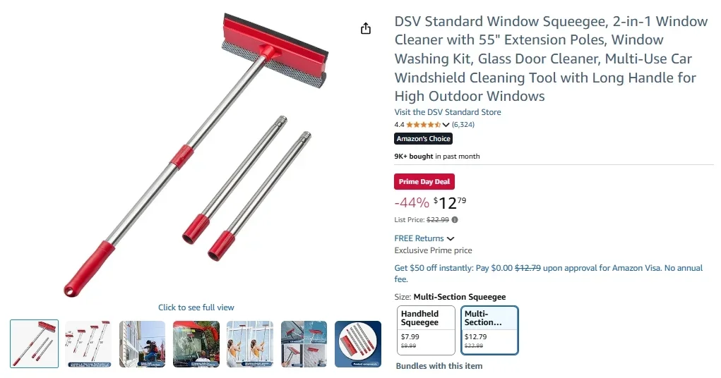 DSV Standard Multi-Use Extendable Squeegee