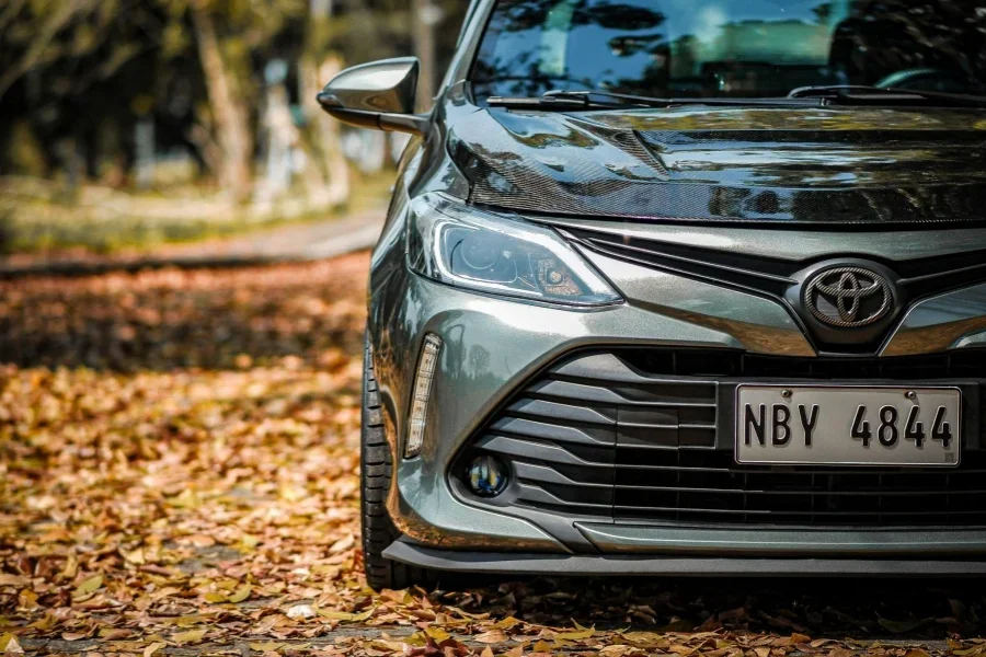 Sleek Car Among Autumn Leaves in Park Setting