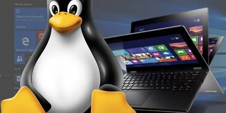 Gambar unggulan untuk Linux Gaming Akhirnya Sah: Mengapa Pemain Steam Beralih dari Windows