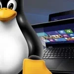 Изображение к статье «Игры на Linux наконец-то стали реальностью: почему игроки Steam переходят с Windows»